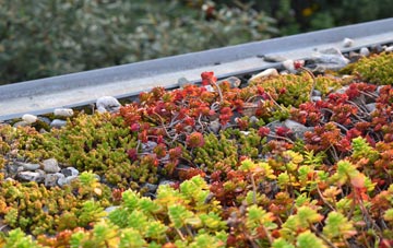 the cost of Kirkby Mills green roof installation